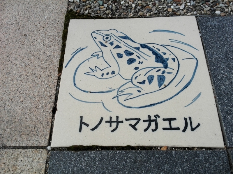 f:id:tamikiti67:20190624014833j:plain f:id:tamikiti67:20190624014833j:plain