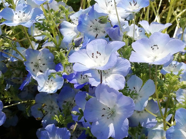 f:id:tamikiti67:20190722202951j:image