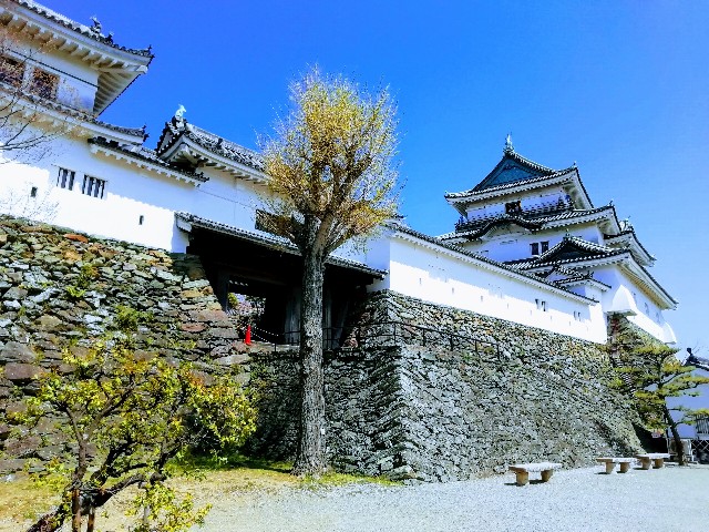 f:id:tamikiti67:20190722203410j:image