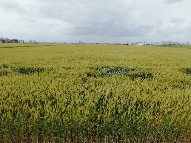 f:id:tamikiti67:20190722203818j:image