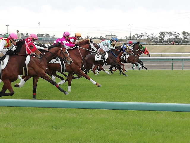 f:id:tamikiti67:20190722204009j:image