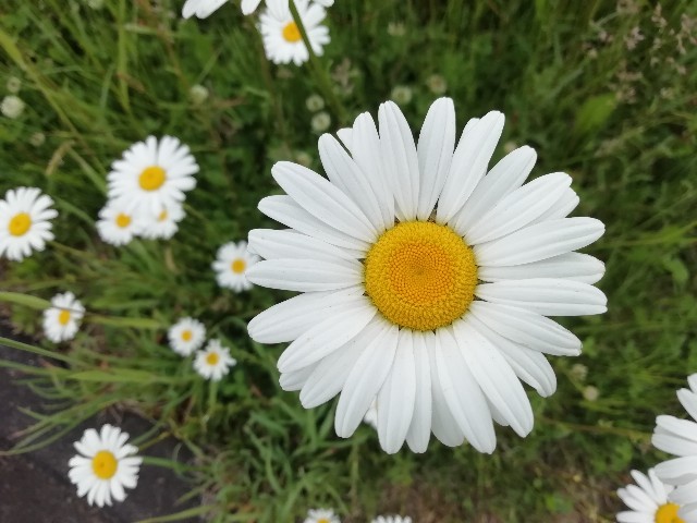 f:id:tamikiti67:20190722204325j:image