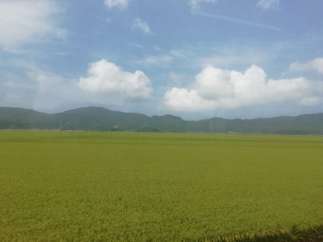 f:id:tamikiti67:20190822220237j:image