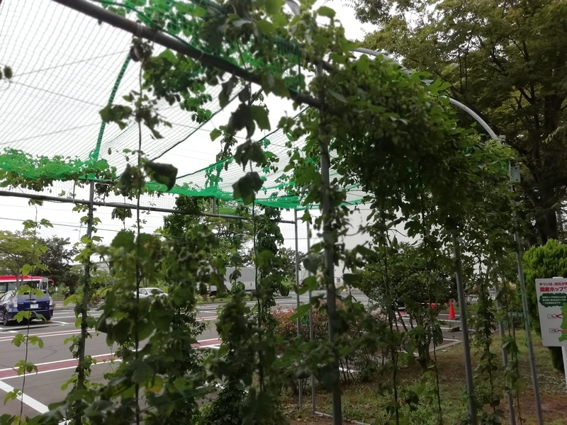 f:id:tamikiti67:20190825224914j:plain