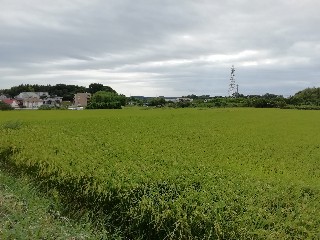 f:id:tamikiti67:20190914002130j:plain