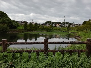 f:id:tamikiti67:20190914002236j:plain