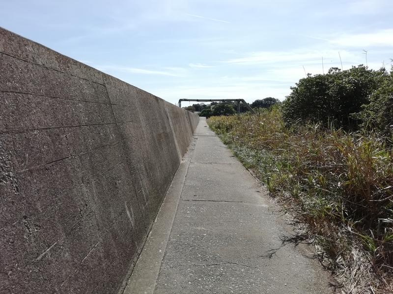 f:id:tamikiti67:20191023192845j:plain