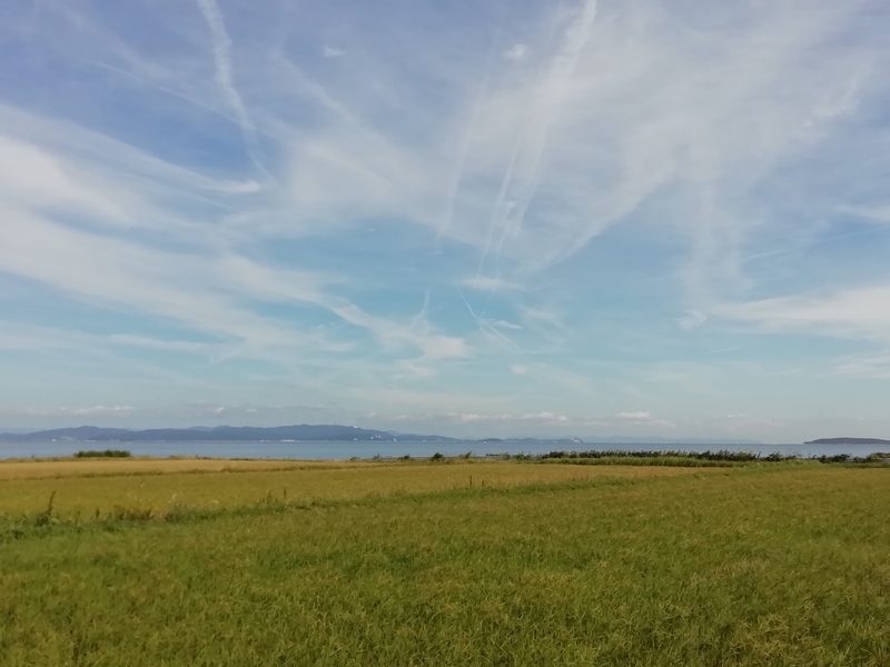 f:id:tamikiti67:20191023193304j:plain