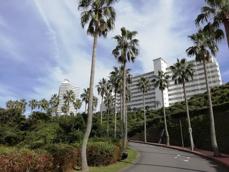 f:id:tamikiti67:20191023193611j:plain