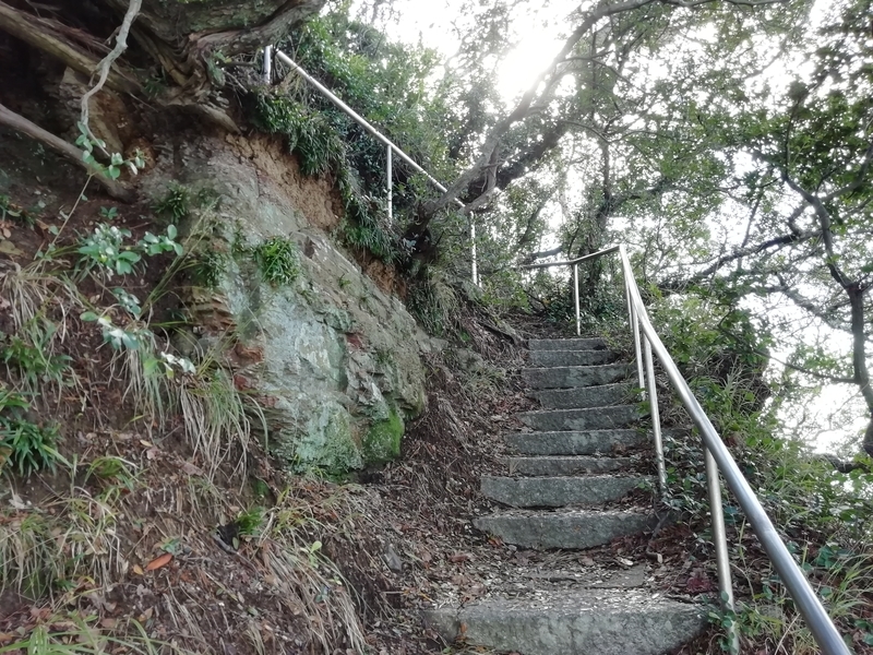 f:id:tamikiti67:20191023193959j:plain