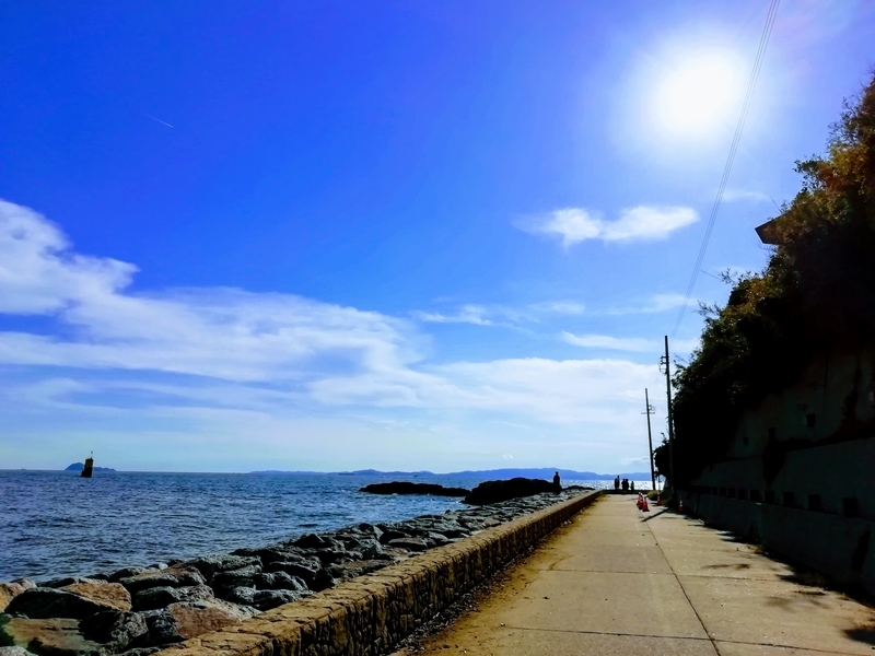 f:id:tamikiti67:20191023194520j:plain