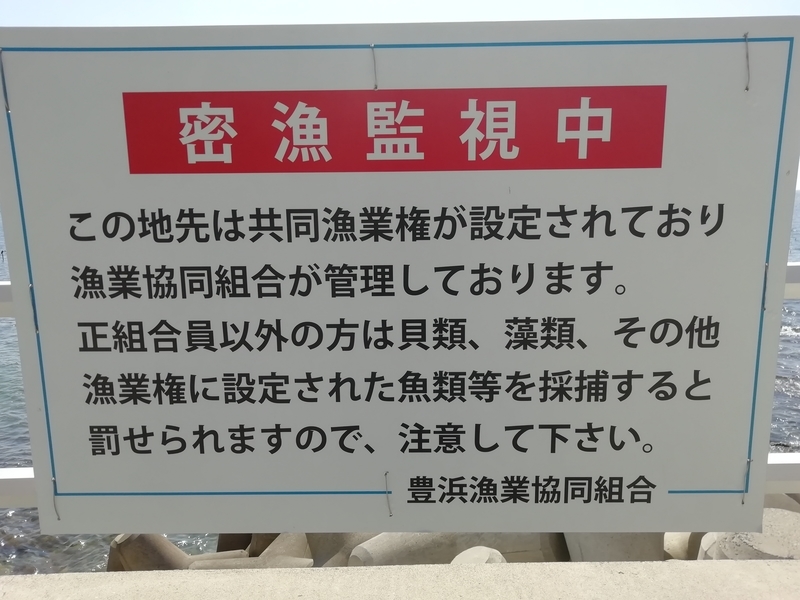 f:id:tamikiti67:20191101185257j:plain f:id:tamikiti67:20191101185257j:plain