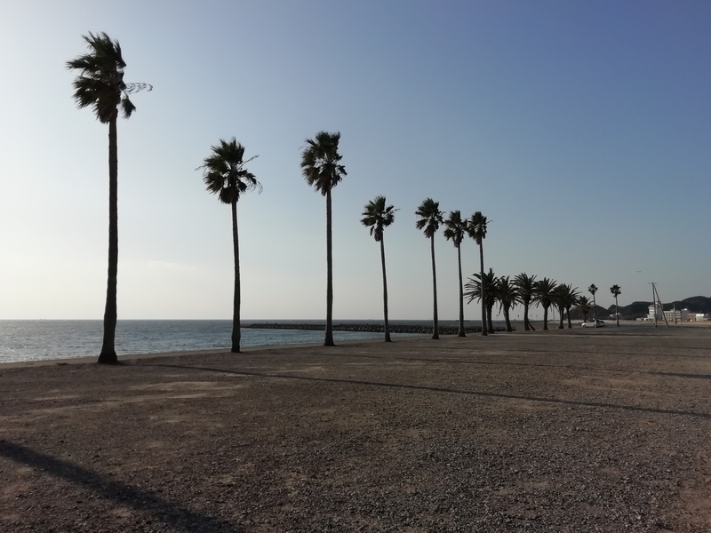 f:id:tamikiti67:20191101191043j:plain f:id:tamikiti67:20191101191043j:plain