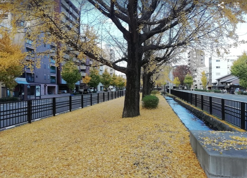 f:id:tamikiti67:20191201204129p:plain f:id:tamikiti67:20191201204129p:plain