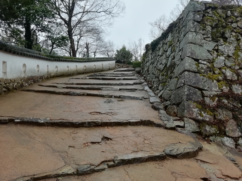 f:id:tamikiti67:20200310115546j:plain