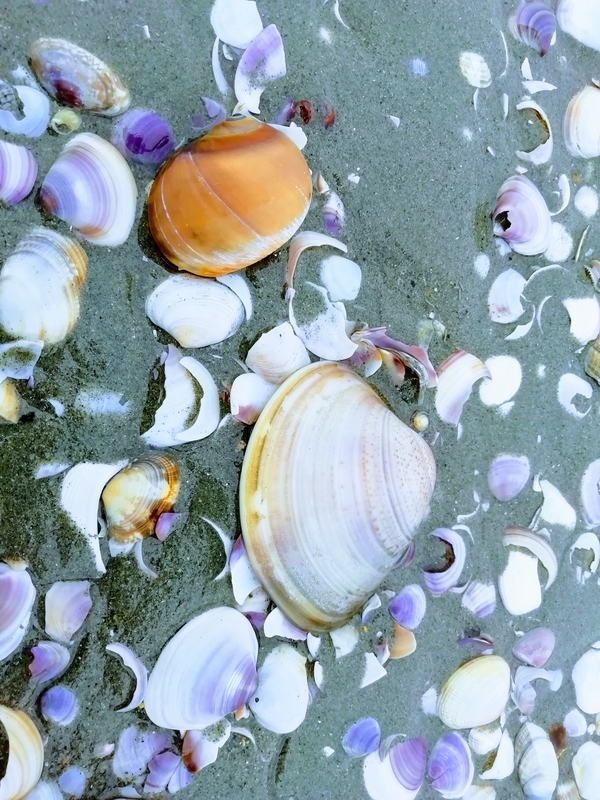 f:id:tamikiti67:20200322200727j:plain f:id:tamikiti67:20200322200727j:plain