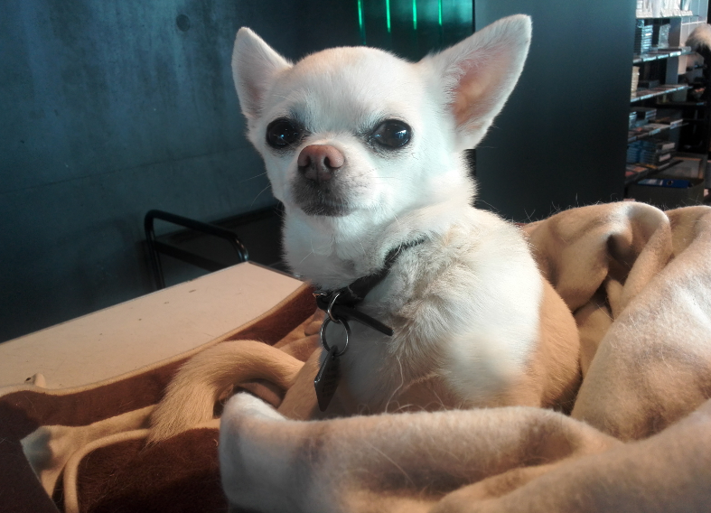 f:id:tamikiti67:20200417211419p:plain f:id:tamikiti67:20200417211419p:plain