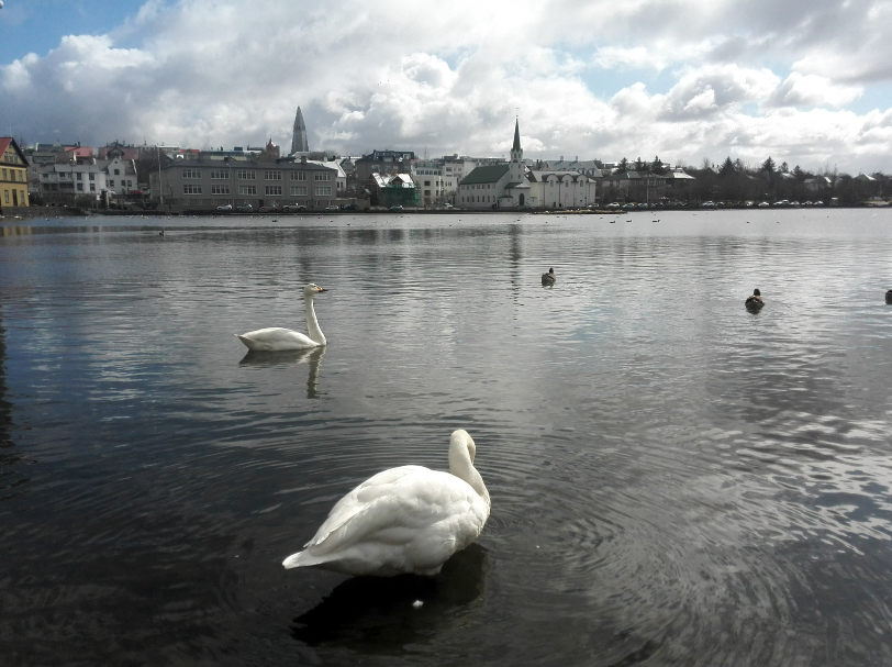 f:id:tamikiti67:20200417212637p:plain f:id:tamikiti67:20200417212637p:plain