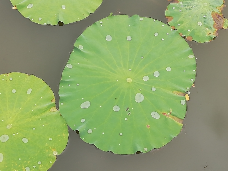 f:id:tamikiti67:20200622185505j:plain f:id:tamikiti67:20200622185505j:plain