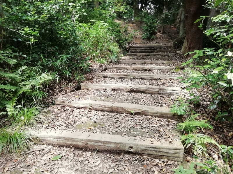 f:id:tamikiti67:20200722232039j:plain