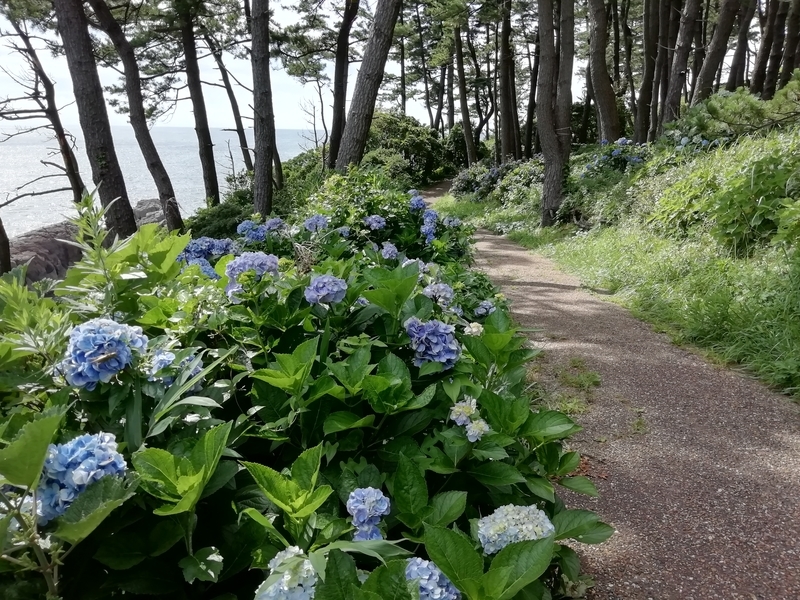 f:id:tamikiti67:20200723000818j:plain f:id:tamikiti67:20200723000818j:plain