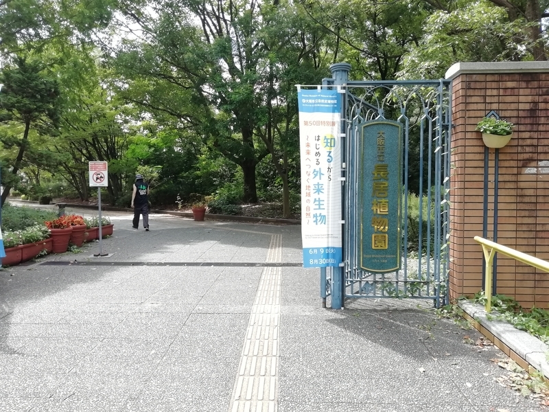 f:id:tamikiti67:20200729194109j:plain f:id:tamikiti67:20200729194109j:plain