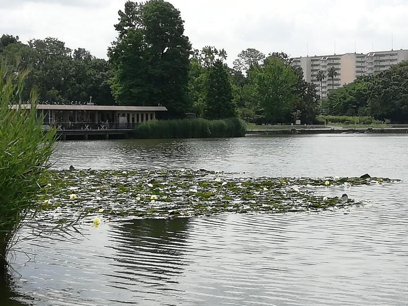 f:id:tamikiti67:20200729194455j:plain f:id:tamikiti67:20200729194455j:plain