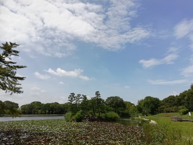 f:id:tamikiti67:20200729194623j:plain f:id:tamikiti67:20200729194623j:plain
