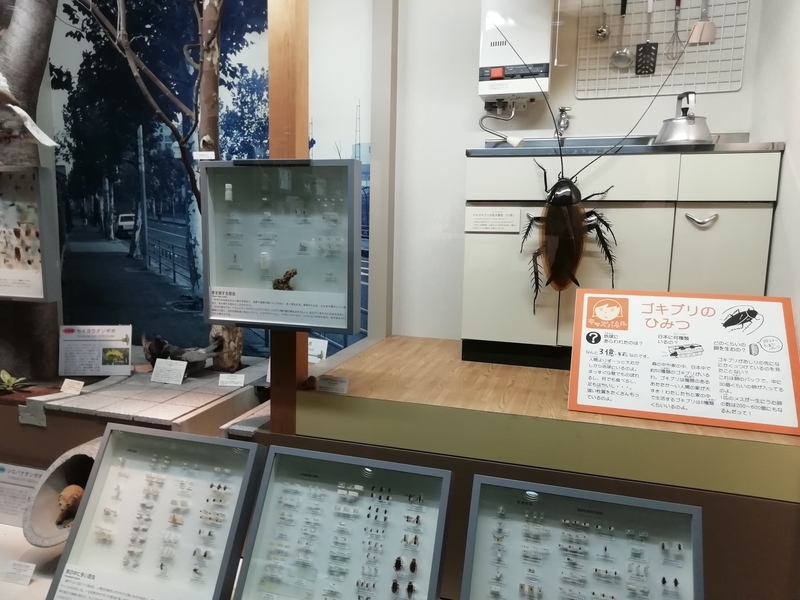 f:id:tamikiti67:20200729195407j:plain f:id:tamikiti67:20200729195407j:plain