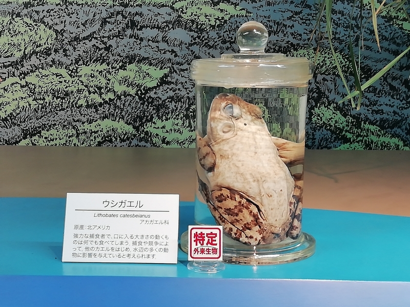 f:id:tamikiti67:20200729195438j:plain f:id:tamikiti67:20200729195438j:plain