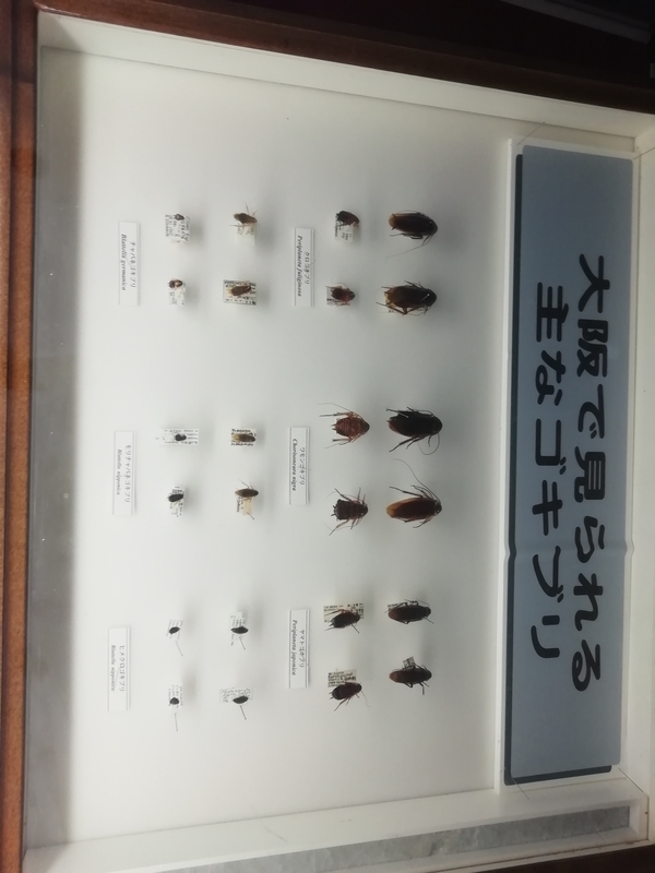 f:id:tamikiti67:20200729195452j:plain f:id:tamikiti67:20200729195452j:plain