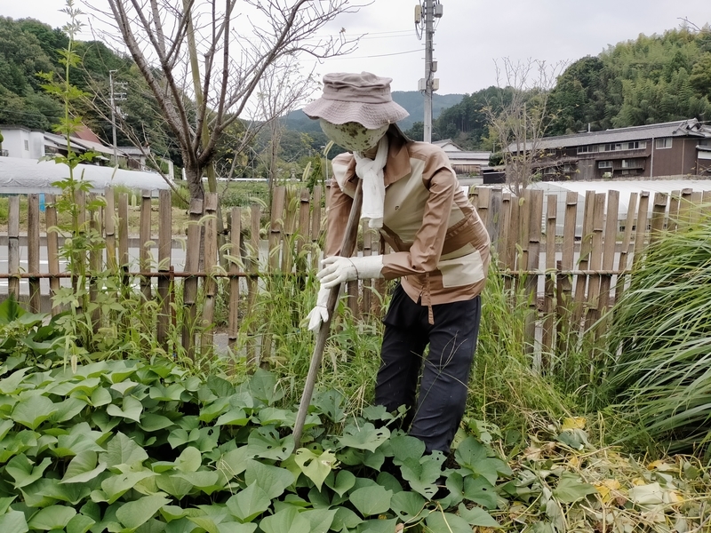 f:id:tamikiti67:20200924193422j:plain f:id:tamikiti67:20200924193422j:plain