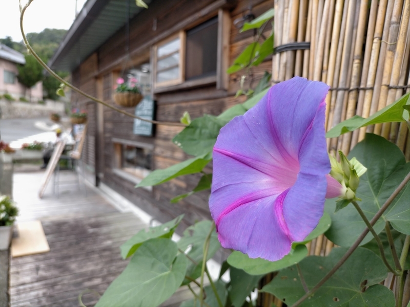 f:id:tamikiti67:20200924194006j:plain f:id:tamikiti67:20200924194006j:plain