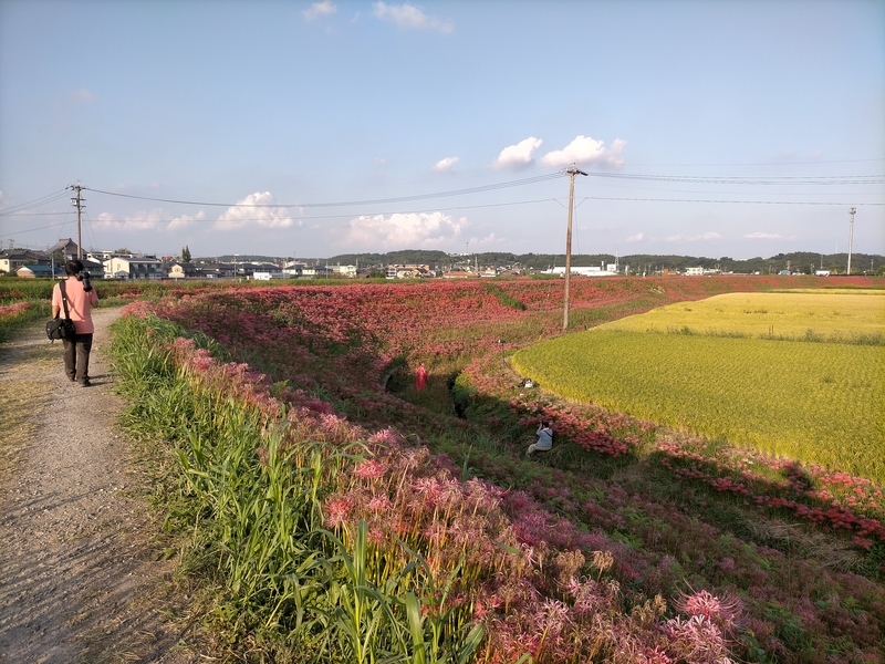 f:id:tamikiti67:20201002192328j:plain f:id:tamikiti67:20201002192328j:plain