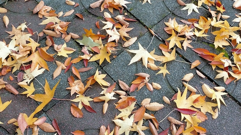 f:id:tamikiti67:20201108151959j:plain f:id:tamikiti67:20201108151959j:plain