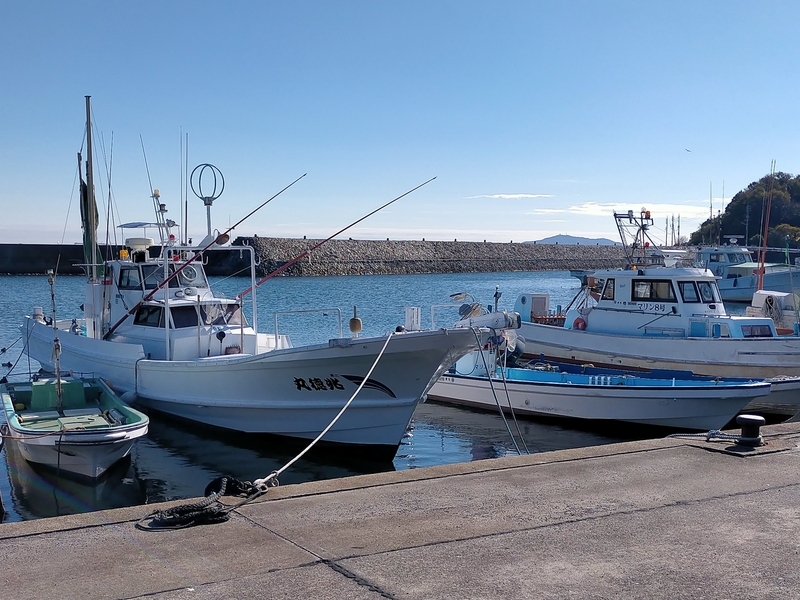 f:id:tamikiti67:20201205163733j:plain