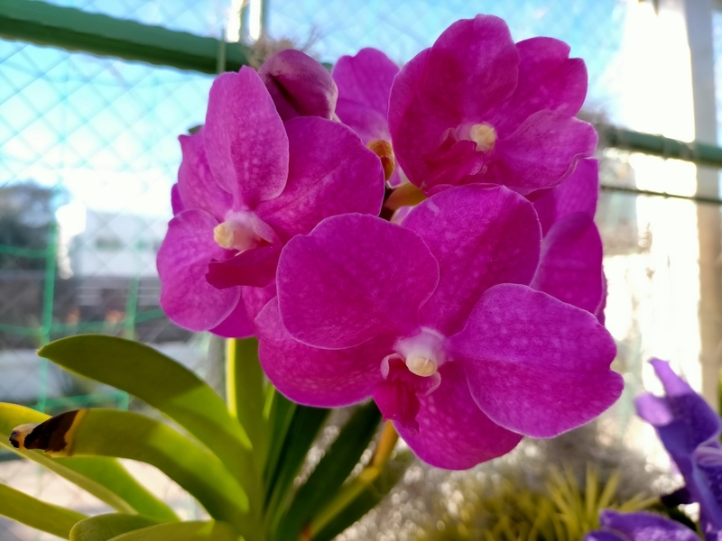 f:id:tamikiti67:20201218221735j:plain