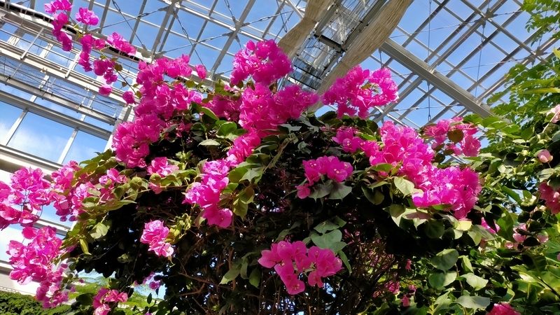 f:id:tamikiti67:20201218222155j:plain