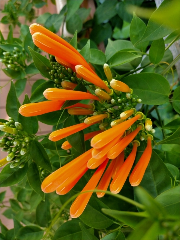 f:id:tamikiti67:20201218222618j:plain