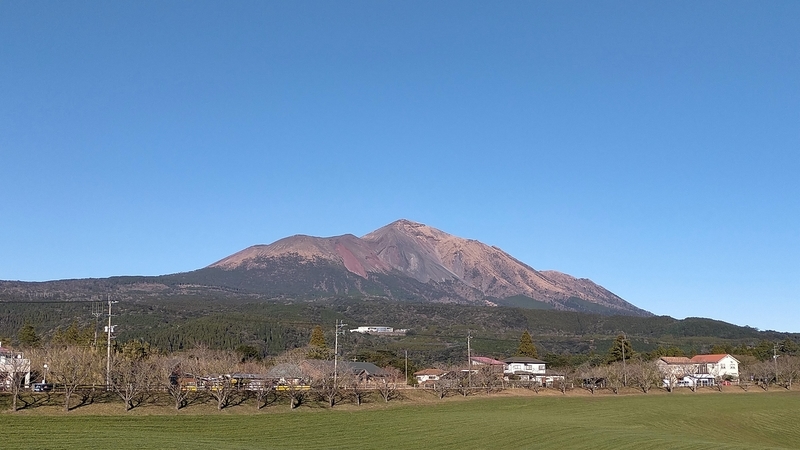 f:id:tamikiti67:20201218230514j:plain