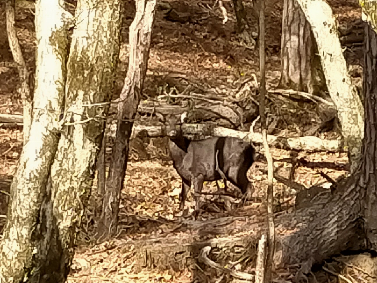 f:id:tamikiti67:20201218231838j:image