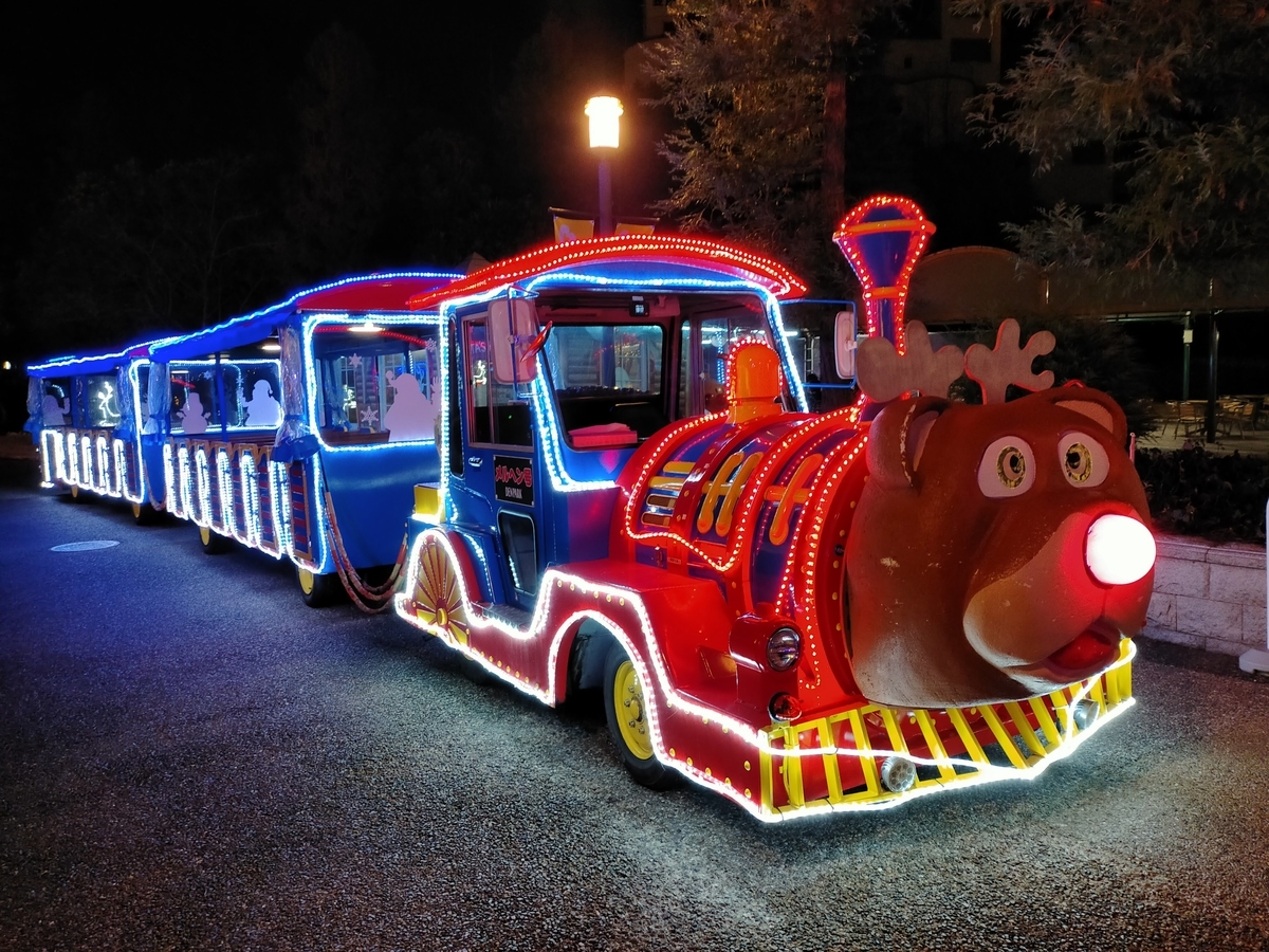 f:id:tamikiti67:20201230221312j:plain