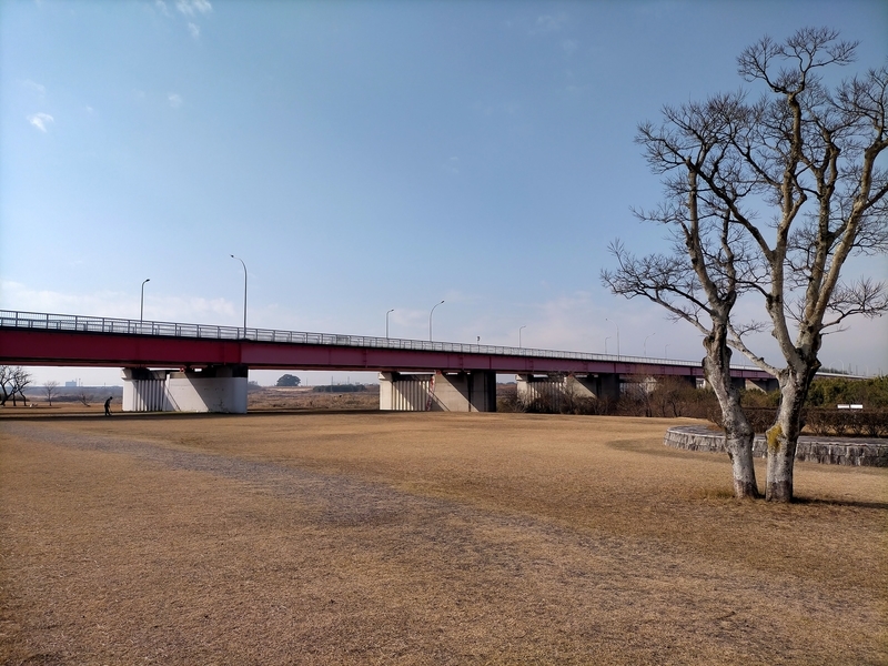 f:id:tamikiti67:20210116201059j:plain