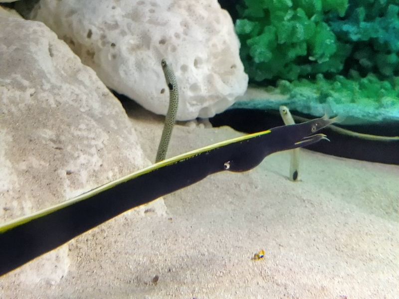 f:id:tamikiti67:20210129201715j:plain