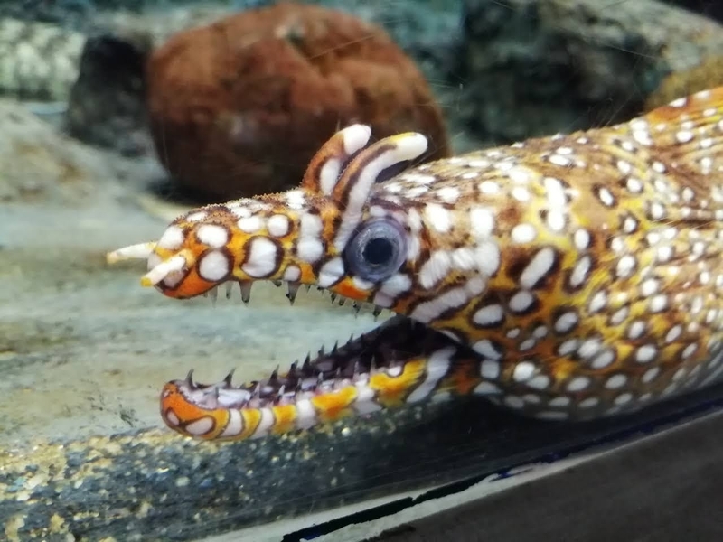 f:id:tamikiti67:20210129201809j:plain