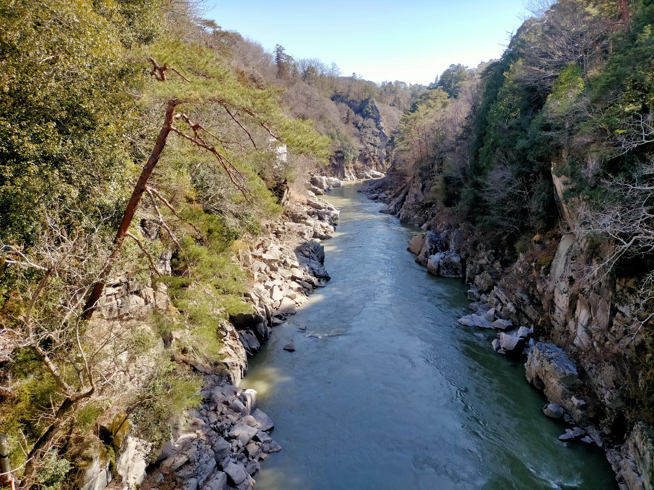 f:id:tamikiti67:20210303190859j:image