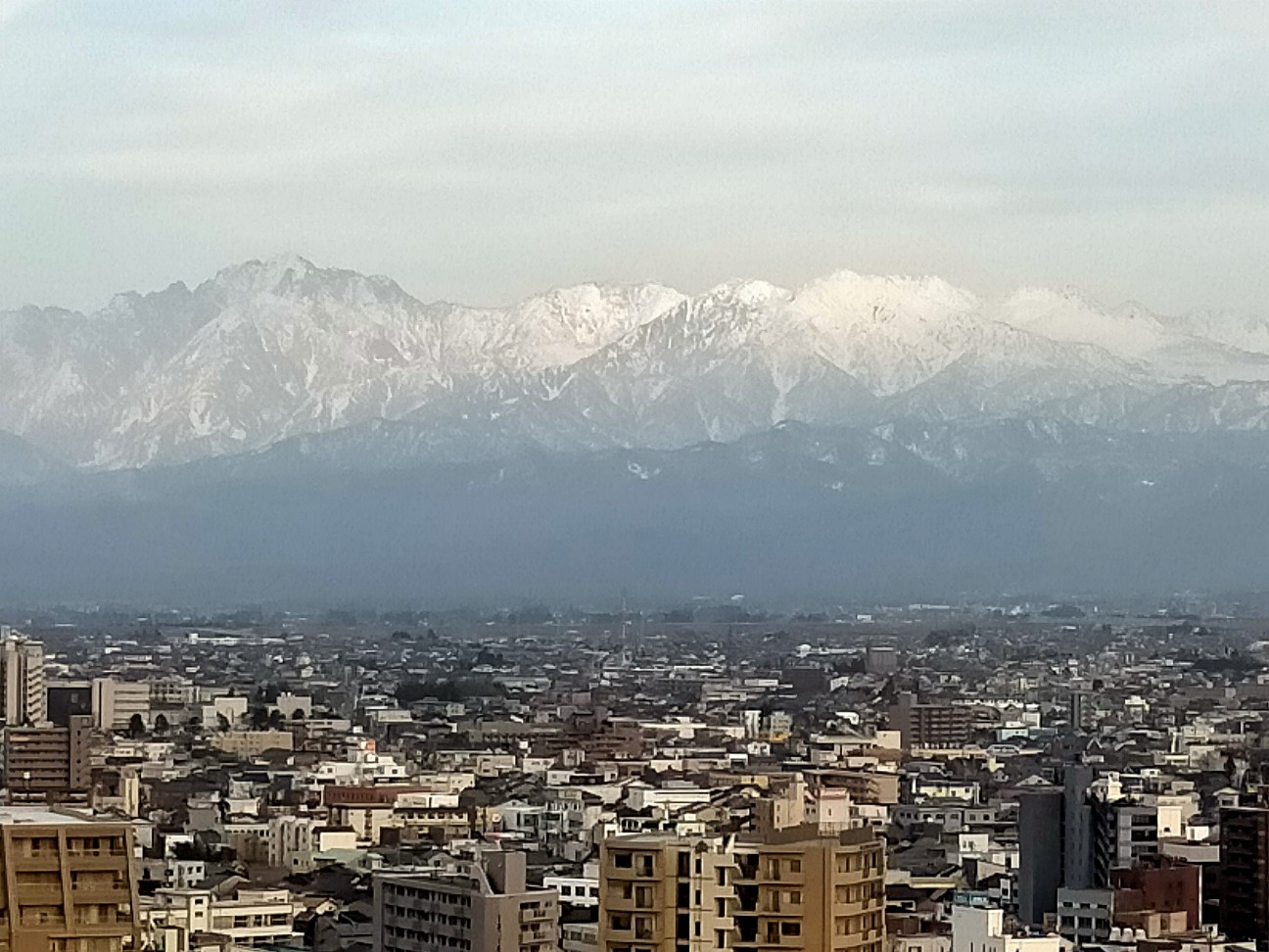 f:id:tamikiti67:20210325091911j:image f:id:tamikiti67:20210325091911j:image