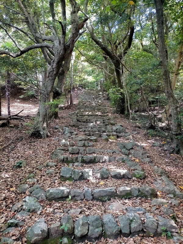 f:id:tamikiti67:20210512165626j:plain