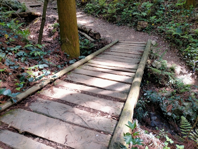 f:id:tamikiti67:20210512165737j:plain