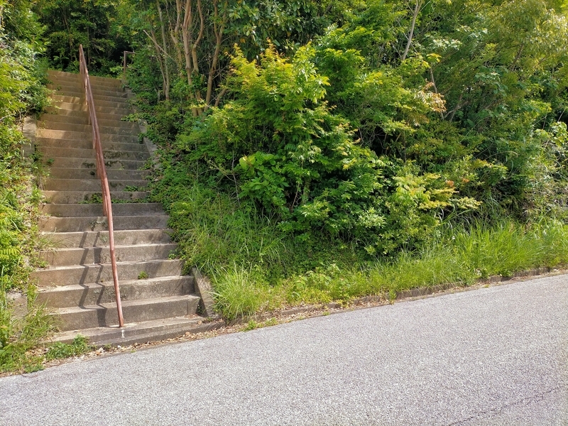 f:id:tamikiti67:20210512165926j:plain